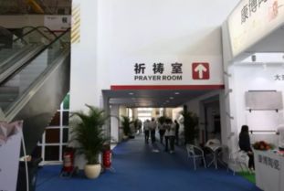 第33屆佛山陶博會超全觀展攻略 洞見趨勢，高效賦能